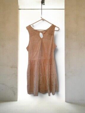 Romantic Sleeveless Lace A-Line Dress in Blush